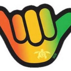 Meet your Posher, Kai